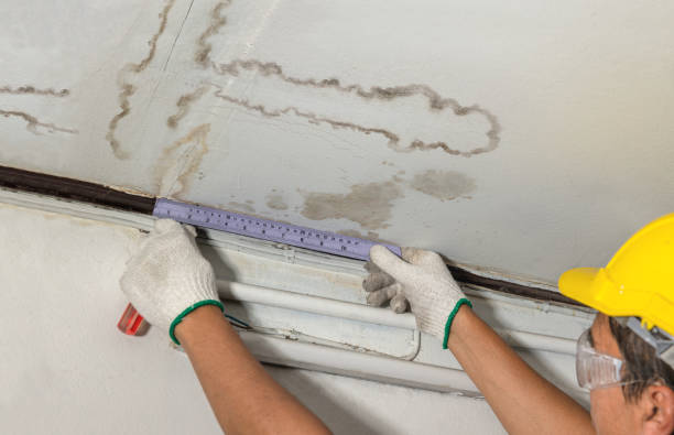 Reliable Structural Drying contractor in La Crosse, KS by Water Damage Irwin